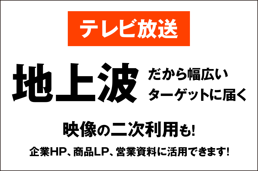 テレビ放送は地上波
